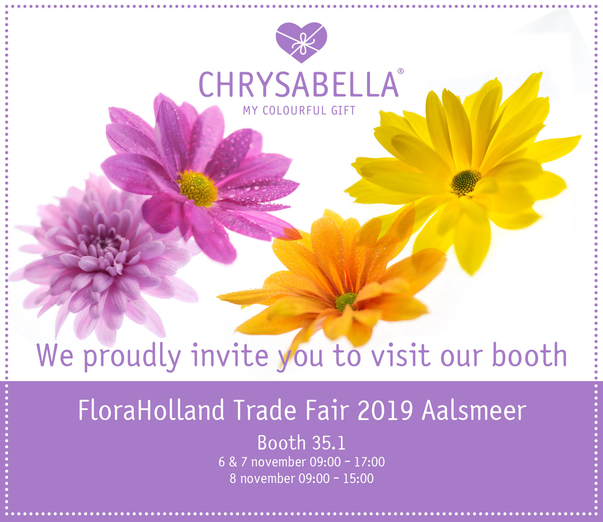 berkhout chrysabella FloraHolland Trade Fair 2019