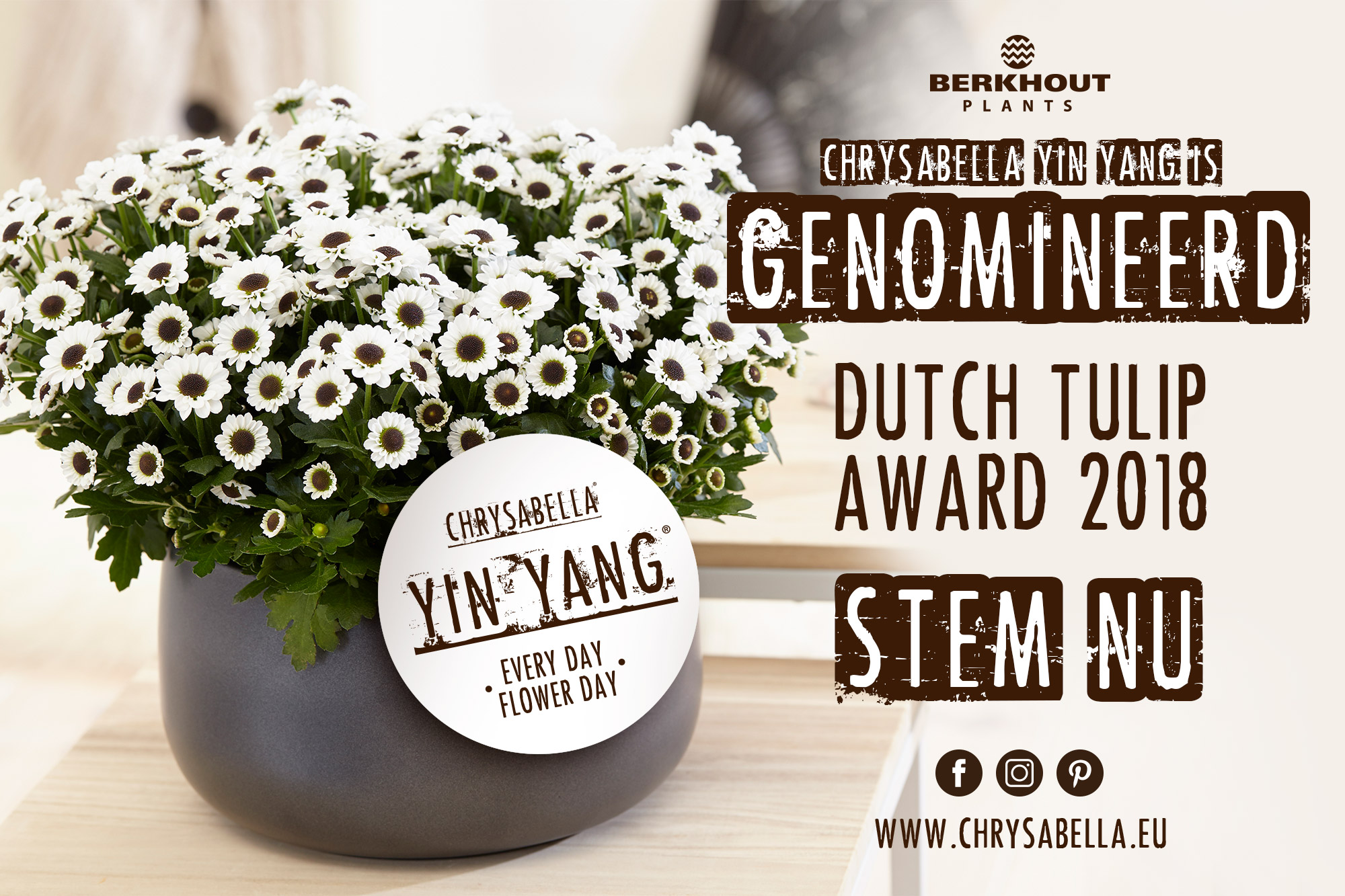 berkhout chrysabella yin yang genomineerd